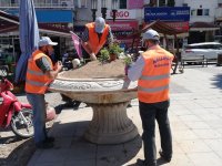 NALLIHAN BELEDİYE'MİZDEN MEVSİMLİK ÇİÇEK