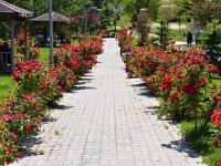 NALLIHAN BELEDİYE'MİZDEN MEVSİMLİK ÇİÇEK