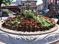 NALLIHAN BELEDİYE'MİZDEN MEVSİMLİK ÇİÇEK