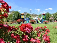 NALLIHAN BELEDİYE'MİZDEN MEVSİMLİK ÇİÇEK