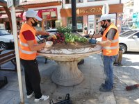 NALLIHAN BELEDİYE'MİZDEN MEVSİMLİK ÇİÇEK