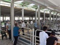 BELEDİYE BAŞKANIMIZ CANLI PAZAR YERLERİNİ DENETLEDİ