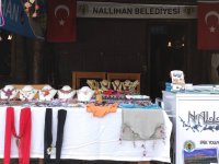 İPEK YOLU'NUN İNCİSİ NALLIHAN ALTINKÖYDE