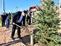 11 KASIM FİDAN DİKME ETKİNLİĞİ GELECEĞE NEFES