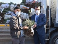 NALLIHAN BELEDİYEMİZİN ÜRETİCİLERE YÖNELİK DESTEKLERİ DEVAM EDİYOR