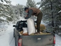 NALLIHAN'IMIZDA YABAN HAYVANLARINA YEM DESTEĞİ