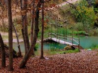 TOPLUCA GÜRLEYİK KÖYÜMÜZDE YAĞMUR DUASINA ÇIKILDI