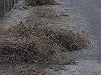 KALDIRIM VE YOL KENARLARINDA YABANİ OT TEMİZLİĞİ