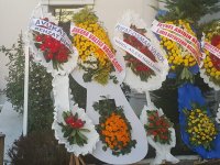 MUTLULUKLAR DİLERİZ