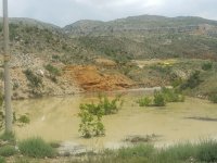 NALLIHAN BELEDİYE BAŞKAN YARDIMCISI SERHAT SELVİ SARIYAR'IMIZDA