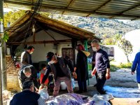 SARIYAR'IMIZDA BÜYÜKBAŞ HAYVAN KESİMİNE BAŞLANDI