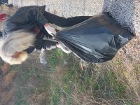 SARIYAR'IMIZDA ÇEVRE TEMİZLİĞİ SARDER SARIYAR'IMIZDA FARKINDALIK YARATMAYA DEVAM EDİYOR.