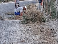 KALDIRIM VE YOL KENARLARINDA YABANİ OT TEMİZLİĞİ