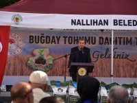 İLÇEMİZ NALLIHAN'DA ÇİFTÇİLERE TOHUMLUK BUĞDAY DAĞITILDI