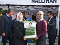 İLÇEMİZ NALLIHAN'DA ÇİFTÇİLERE TOHUMLUK BUĞDAY DAĞITILDI