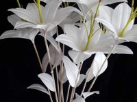 ÜNAL ÖZTÜRK ÖĞRETMENİMİZE TEŞEKKÜR EDİYORUZ