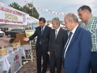 ANKARA BÜYÜKŞEHİR BELEDİYE BAŞKANI NALLIHAN'DA