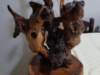 ÜNAL ÖZTÜRK ÖĞRETMENİMİZE TEŞEKKÜR EDİYORUZ