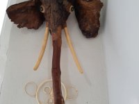 ÜNAL ÖZTÜRK ÖĞRETMENİMİZE TEŞEKKÜR EDİYORUZ