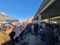 NALLIHAN BELEDİYE'MİZDEN ÜRETİCİYE GEBE DÜVE DESTEĞİ