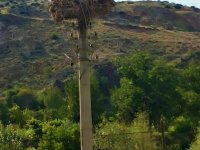 SARIYAR'IMIZIN LEYLEKELERİ GELDİ