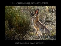 SARIYAR'IMIZ ERMAN KIRANKAYA'YI KUTLUYORUZ