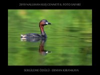 SARIYAR'IMIZ ERMAN KIRANKAYA'YI KUTLUYORUZ