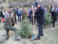 İlçemiz Nallıhan'da Orman Haftası Fidan Dikimi