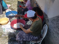 SARIYAR'IMIZDA KOZA HASADI BAŞLADI