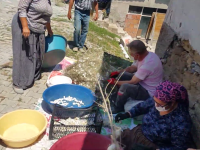 SARIYAR'IMIZDA KOZA HASADI BAŞLADI