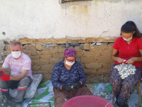 SARIYAR'IMIZDA KOZA HASADI BAŞLADI