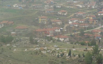 Sarıyarımızda Geleceğimiz İçin Bir Fidan