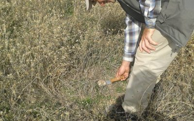 Mantar Zehirlenmelere Dikkat