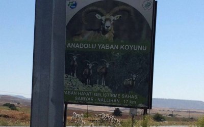 KAÇAK AVCILIKLA MÜCADELE