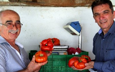 DOMATESİN LEZZETİ SARIYAR YERLİ DOMATESİ’NDE GİZLİ