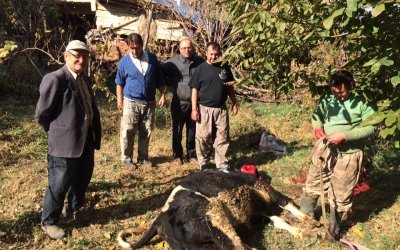 Sarıyar’ımızda Güvendiğimiz Lezzet