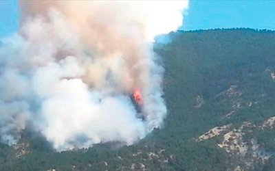 İLÇEMİZ NALLIHAN'DA ORMAN YANGINI