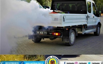 Sinek ve Haşerelerle Mücadele için İlaçlama