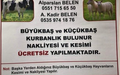 SARIYAR'IMIZDA KURBANLIKLAR GÖRÜCÜYE ÇIKTI