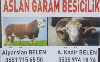 SARIYAR'IMIZDA GÜZEL İŞLER YAPILIYOR