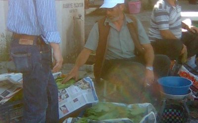 Sarıyar’ımız Üzüm Yaprağı