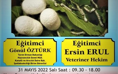 İPEKBÖCEĞİ YETİŞTİRİCİLİĞİNİN GEÇMİŞTEN GELECEĞE AKTARIMI PROJESİ EĞİTİMİ  SARIYAR'IMIZDA BAŞLIYOR.