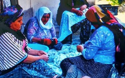 İPEK KOZASI'NDA HASAT ZAMANI