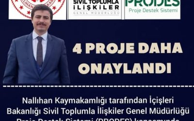 T.C. İçişleri Bakanlığı Sivil Toplumla İlişkiler Genel Müdürlüğü Proje Destek Sistemi (PRODES)