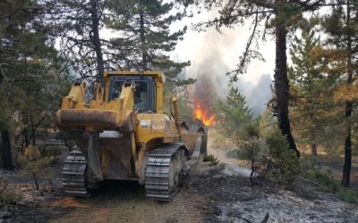 AK Parti Ankara Bölge Milletvekilimiz Nevzat Ceylan Orman Yangını Çiğerimizi Yaktı