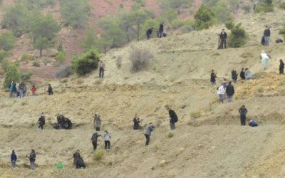 Ormanlarımız Ağaçlandırılıyor