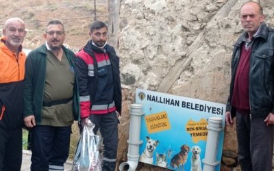 SARIYAR'IMIZDA SOKAK HAYVANLARINA MAMA DESTEĞİ