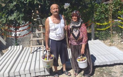 SARIYAR'IMIZDA İNCİR YETİŞTİRME