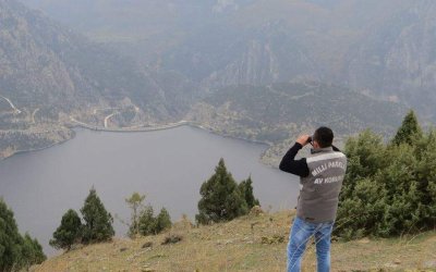 SARIYAR YABAN KOYUNU ENVANTER ÇALIŞMALARI