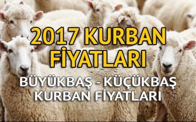 SARIYAR'IMIZDA KURBAN FİYATLARI BELLİ OLDU